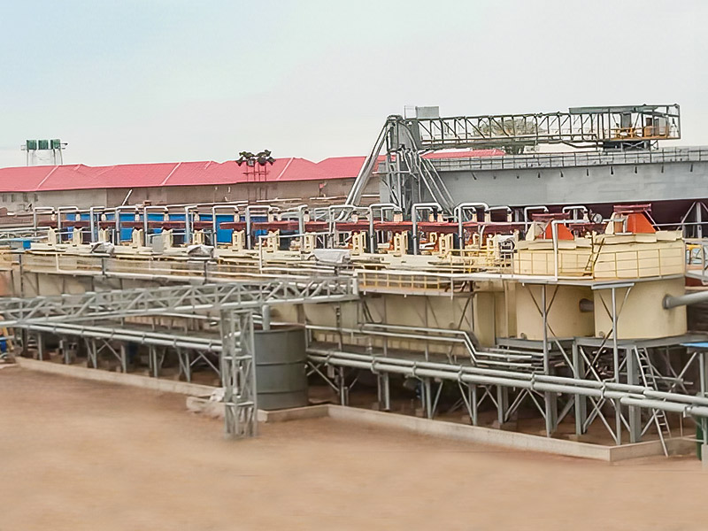 Simbabwe Lepidolith 3000T/D Mineral Processing Project - Zhejiang Dingsen Holding Co., Ltd.